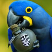 NZR's - Steam avatar