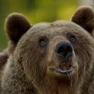 markvart123's Stream profile image