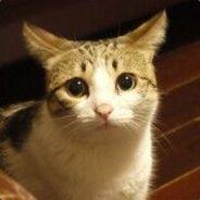 Ecologist's - Steam avatar