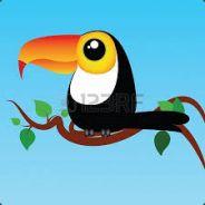 tooooooocan's Stream profile image