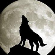 The Wolf's Stream profile image