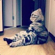 Sven's Stream profile image