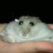 AndyyNM's Stream profile image