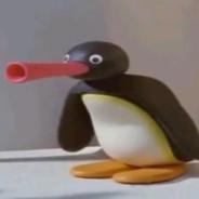 noot noot's - Steam avatar