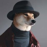 EvolutionZ_BR's Stream profile image