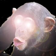Pillowmeister's Stream profile image