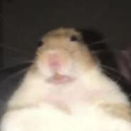 Doussea's Stream profile image
