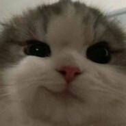 dep's Stream profile image