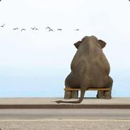 abdur06's Stream profile image