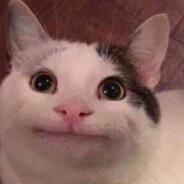 BigBallBag's Stream profile image
