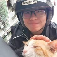 IAN2300252's Stream profile image
