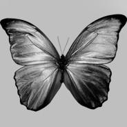 LoPeN's - Steam avatar