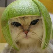 _poonamandai's Stream profile image
