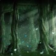 domaidomai's Stream profile image