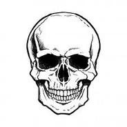 Shmacky's Stream profile image