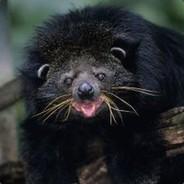 JJ's Stream profile image