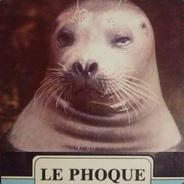 Prosper's Stream profile image