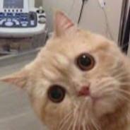 QQ Salmon's Stream profile image