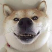 别出兵自己人's Stream profile image