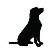 Randog's - Steam avatar