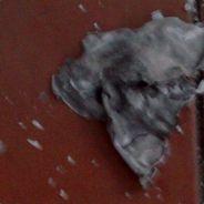 swancatcher's Stream profile image