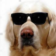 [SNAX] MattTheCat's Stream profile image