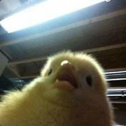 Crava's Stream profile image