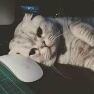 Dspear's - Steam avatar