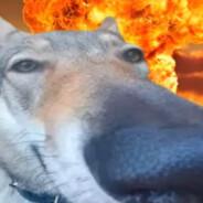 moorane's Stream profile image