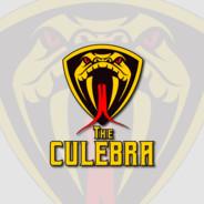 [TWZ] - TheCulebra's Stream profile image