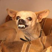 covesitomalvado's - Steam avatar