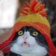 burgerfeld's Stream profile image