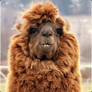 GG's Stream profile image