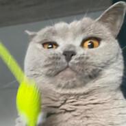 Yidu's Stream profile image