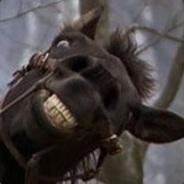 Vogaumtar's Stream profile image