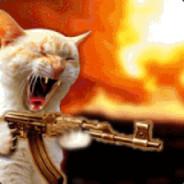 Shimel's Stream profile image