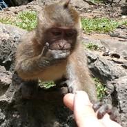 Duffy McLoete's Stream profile image