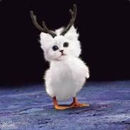 Daftpanzer's Stream profile image