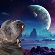 Espermatocleiton's Stream profile image