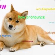 Arctic Fox's Stream profile image