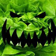 [KM]_Lechuga Asesina's Stream profile image