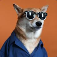GruntDoggo's Stream profile image