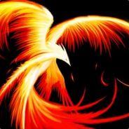 Darfy's Stream profile image