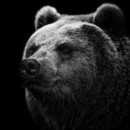 El Oso Maduro's Stream profile image