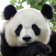 千亿光年's Stream profile image