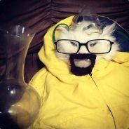Argartu's Stream profile image