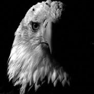 Fluke's Stream profile image
