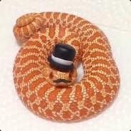 HippoOnABus's Stream profile image