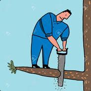 gebourde's - Steam avatar