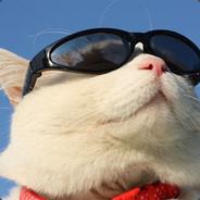 凯特's Stream profile image